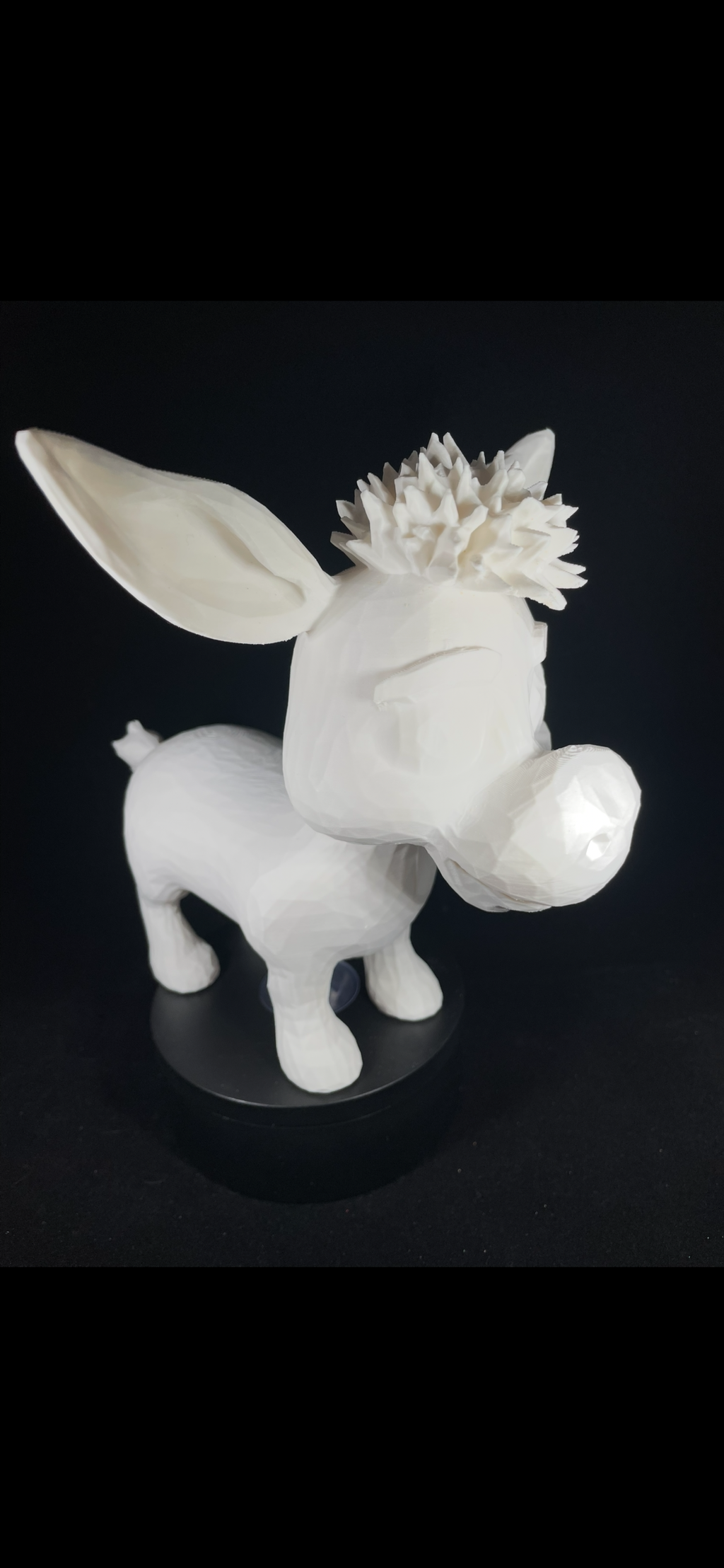 Cute Little Donkey