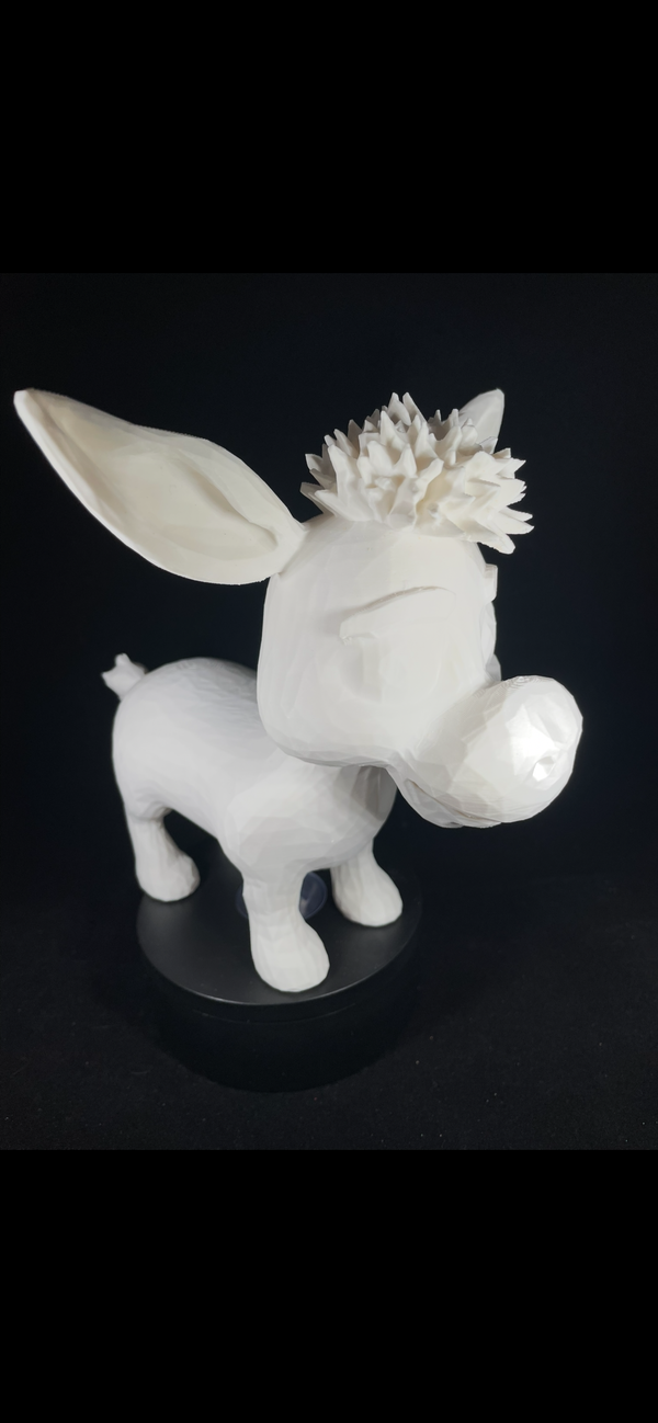 Cute Little Donkey